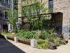 A massive, impromptu and wild garden bed sits in a concrete courtyard in front of brick buildings in Brooklyn. 