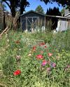 Documentation of Isadora Bee's Garden project